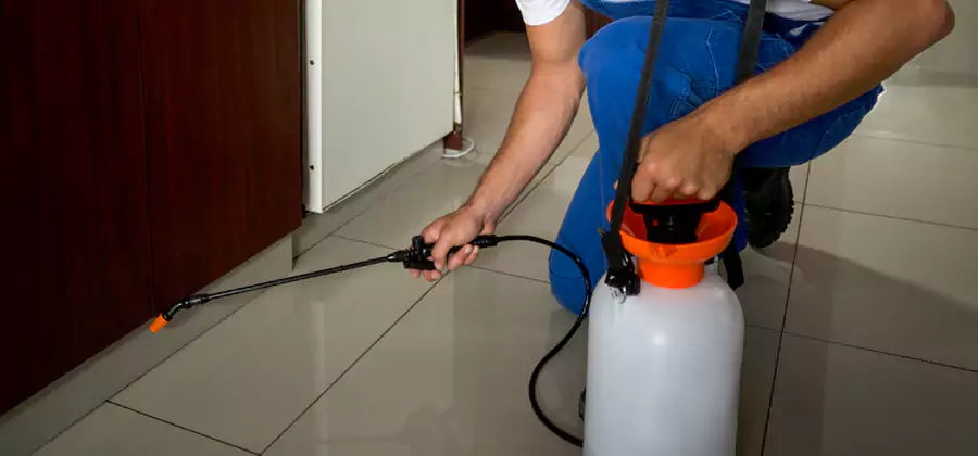 Indoor Mosquito Treatment in Mc Lean
