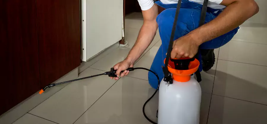Indoor Insect Killer Solutions in Mc Lean