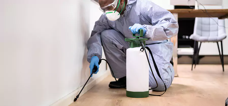 Long Lasting Mosquito Treatment in Mc Lean