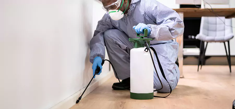 No Tent Termite Extermination With Electric Tool in Mc Lean