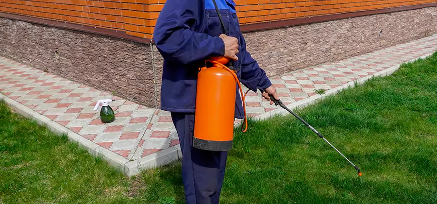 Non Toxic Termite Treatment in Mc Lean