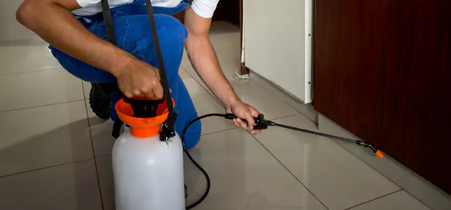 One Time Termite Control in Mc Lean