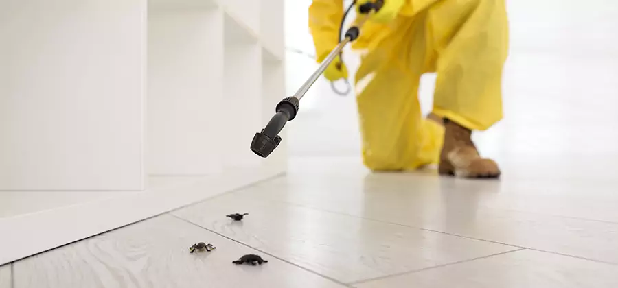 Roach and Bed Bug Exterminator in Mc Lean