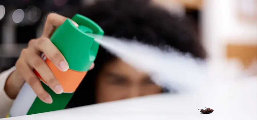 Child Safe Bed Bug Treatment in Mc Lean