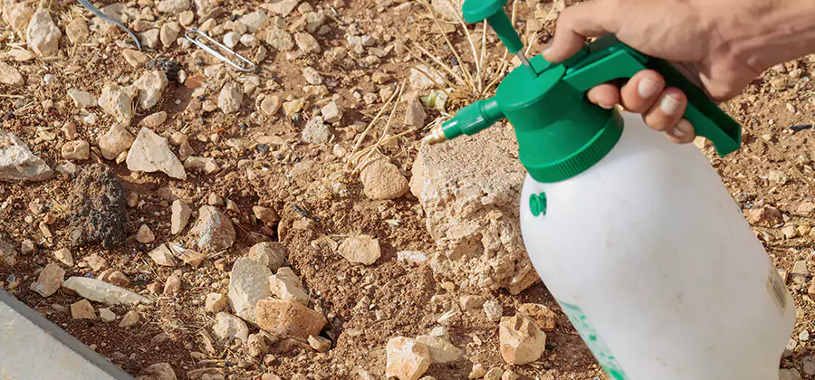 Heat Treatment Termite Cost in Mc Lean