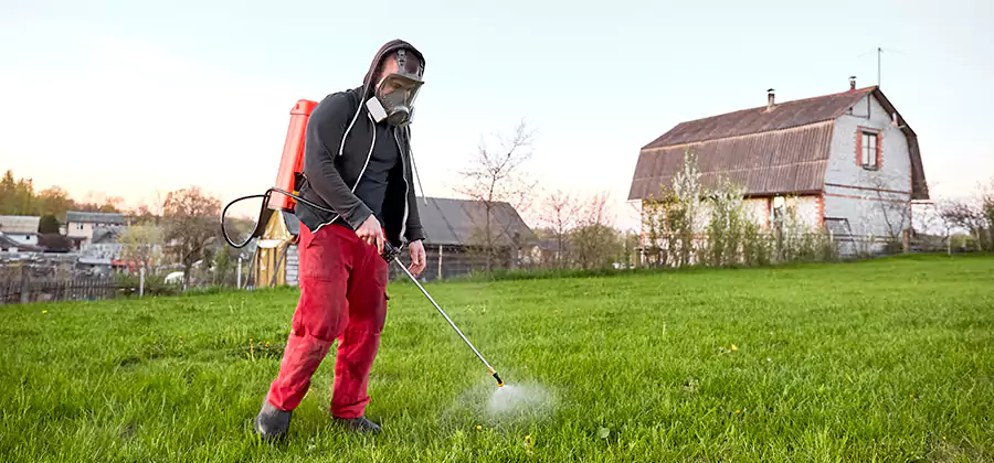 Flea and Tick Pest Control in Mc Lean