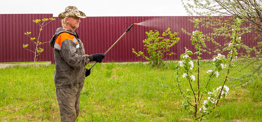 Flea and Tick Spray for Yard in Mc Lean
