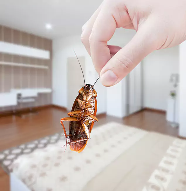 Why McLean Pest Control Pro Stand Out for Bed Bug Fumigation in Mc Lean, VA?