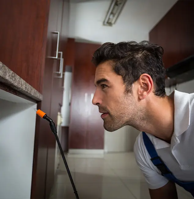 Why Choose McLean Pest Control Pro for Bed Bug Removal Cost in Mc Lean, VA?