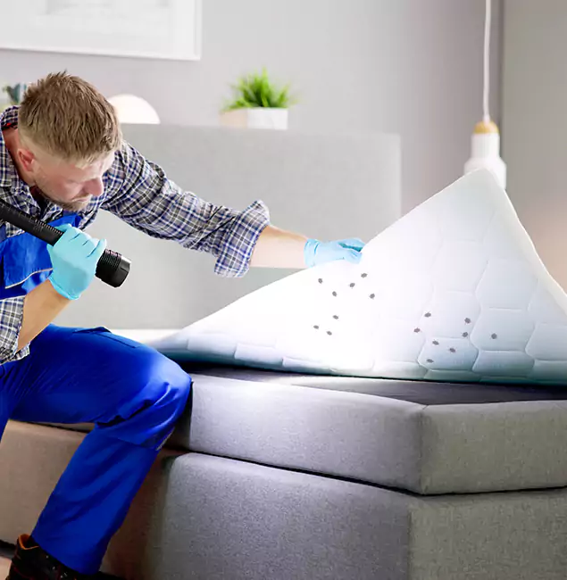 Why Choose McLean Pest Control Pro in Mc Lean, VA?