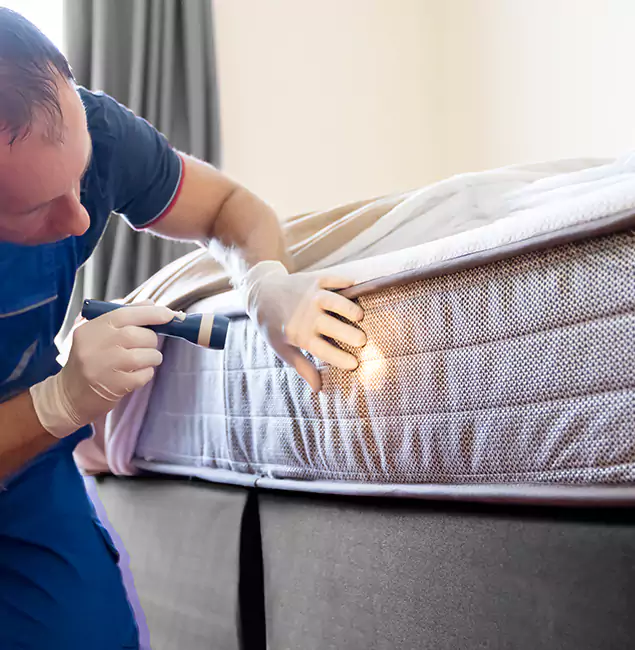 Why Choose McLean Pest Control Pro for Bed Bug Services in Mc Lean, VA?