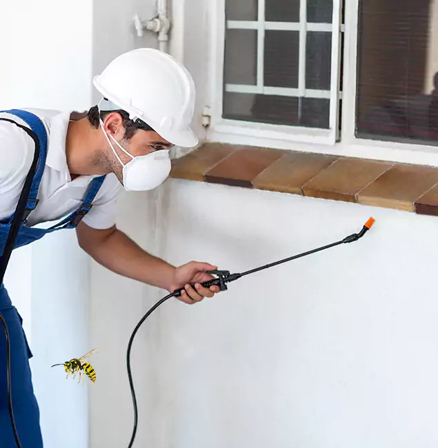 Why Mc Lean Property Owners Choose McLean Pest Control Pro for Bee Nest Removal?