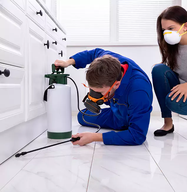 Why Choose McLean Pest Control Pro in Mc Lean, VA?