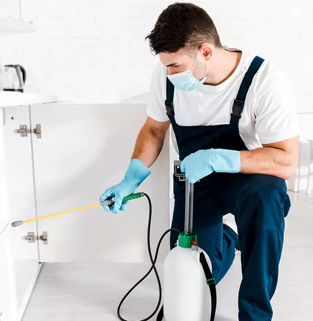 Why Choose McLean Pest Control Pro for Emergency Pest Control in Mc Lean?