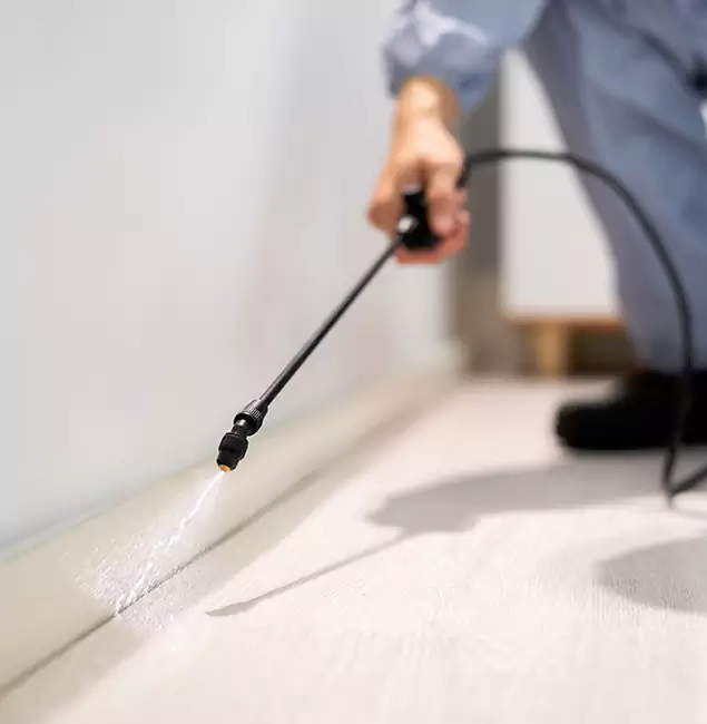 Why Choose McLean Pest Control Pro for Termite Treatment in Mc Lean, VA?