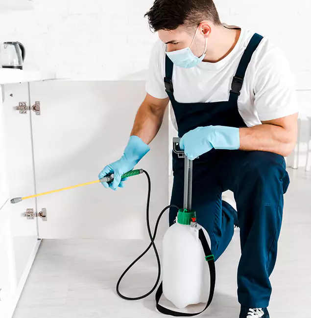 Why Choose McLean Pest Control Pro for Indoor Pest Control in Mc Lean, VA?