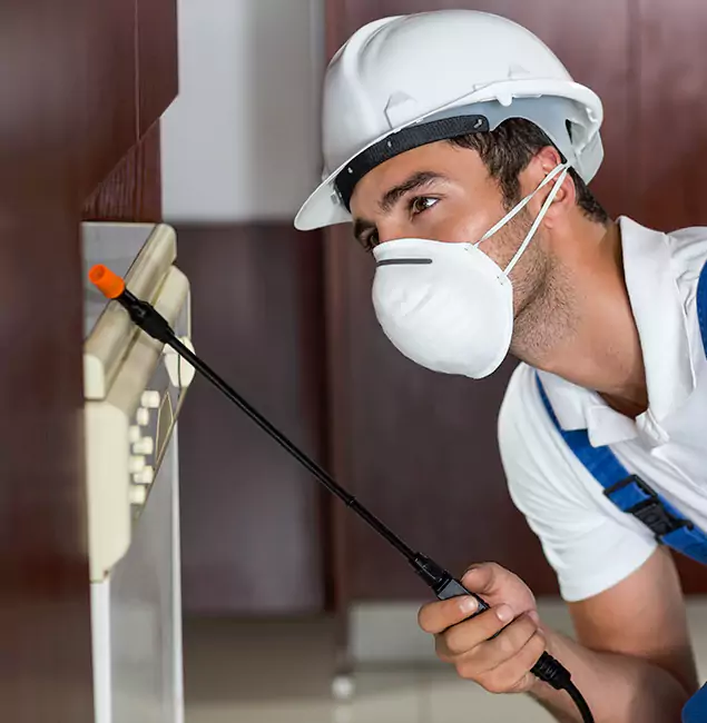 Why Mc Lean Homeowners Rely on McLean Pest Control Pro for Tick Treatment?