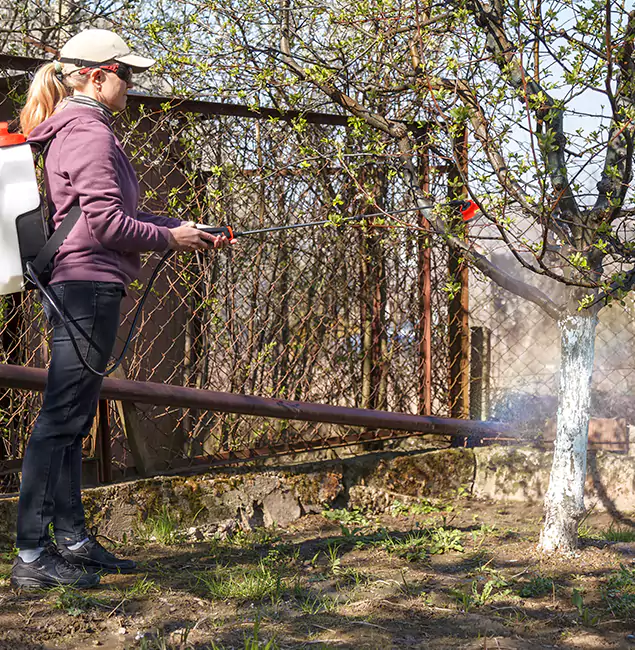 Why Mc Lean Homeowners Choose McLean Pest Control Pro for Mosquito Abatement?