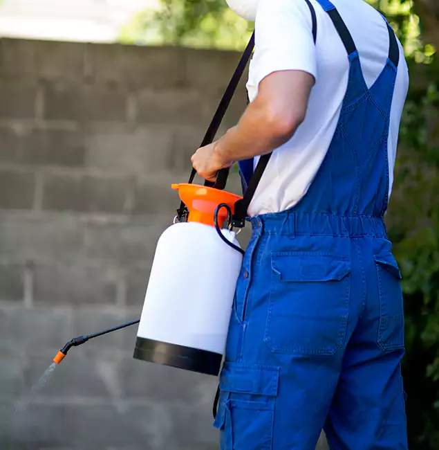 Why Mc Lean Homeowners Rely on McLean Pest Control Pro for Mosquito Control?