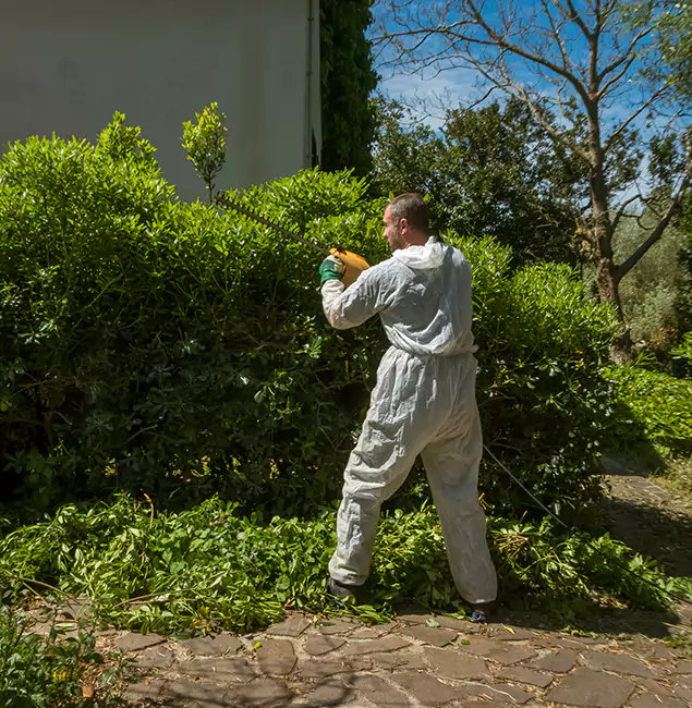 Why McLean Pest Control Pro Leads Mosquito Control in Mc Lean, VA?