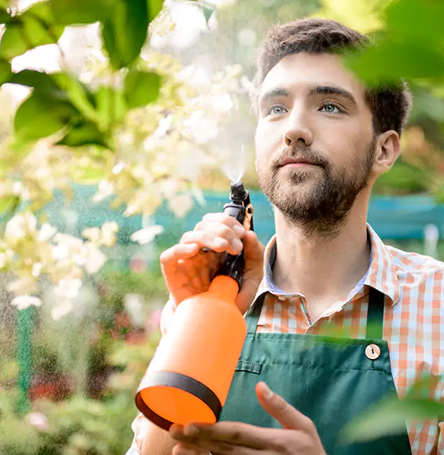 Why McLean Pest Control Pro Is the Best Mosquito Control Company in Mc Lean, VA?