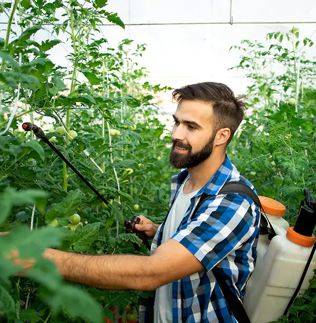 Why Mc Lean Homeowners Choose McLean Pest Control Pro for Mosquito Spraying?
