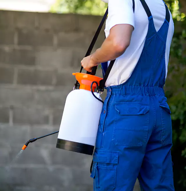 Why McLean Pest Control Pro Delivers the Best Mosquito Control in Mc Lean, VA?