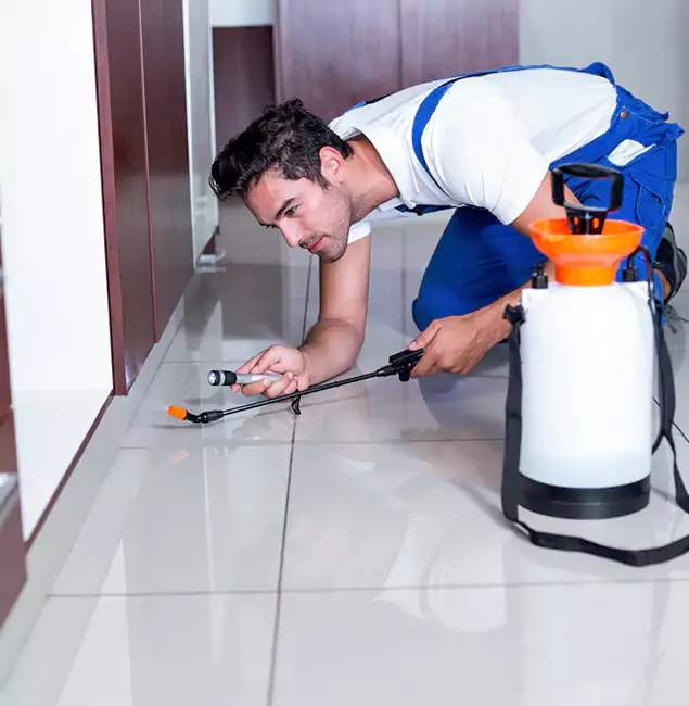 Why McLean Pest Control Pro Is the Proven Choice in Mc Lean, VA?