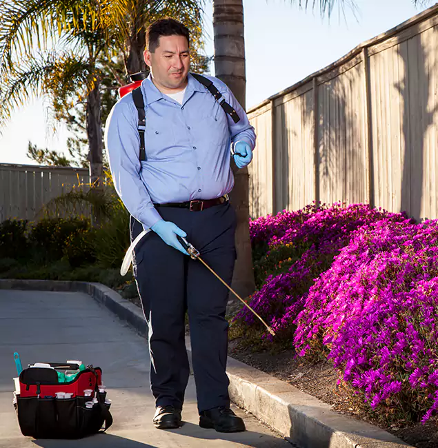 Why Choose McLean Pest Control Pro in Mc Lean, VA?