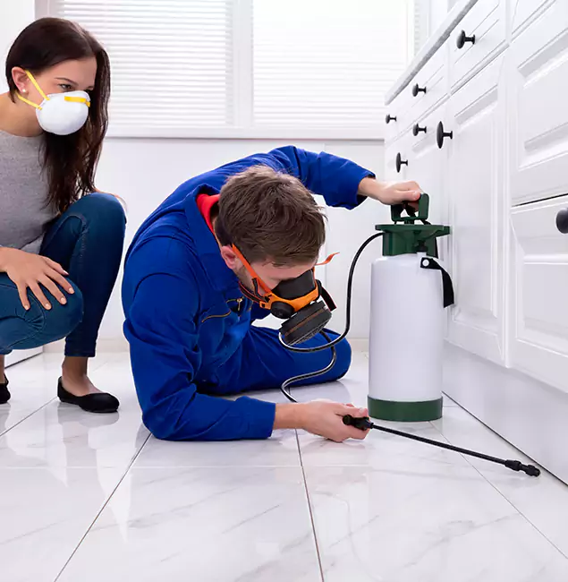 Why Choose McLean Pest Control Pro in Mc Lean, VA?