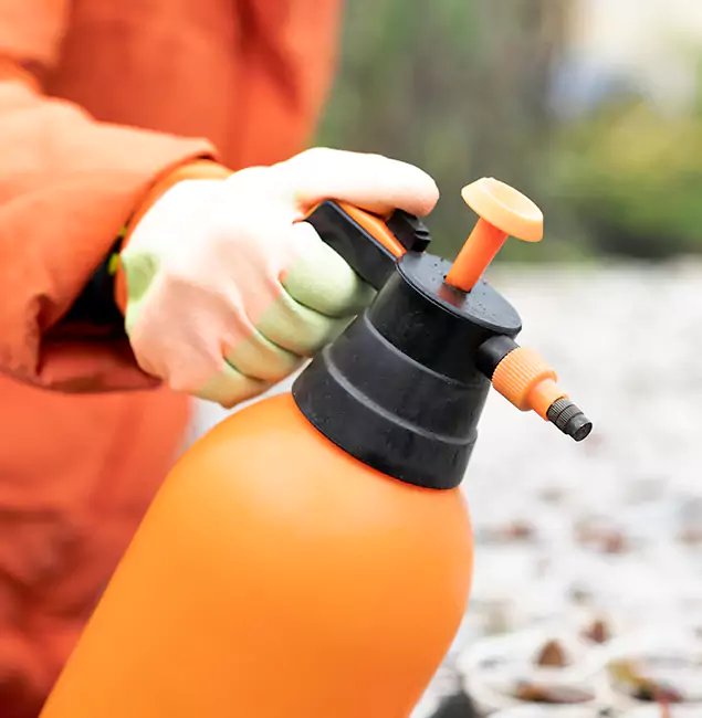 Why Choose McLean Pest Control Pro for Orange Termite Treatment in Mc Lean, VA?