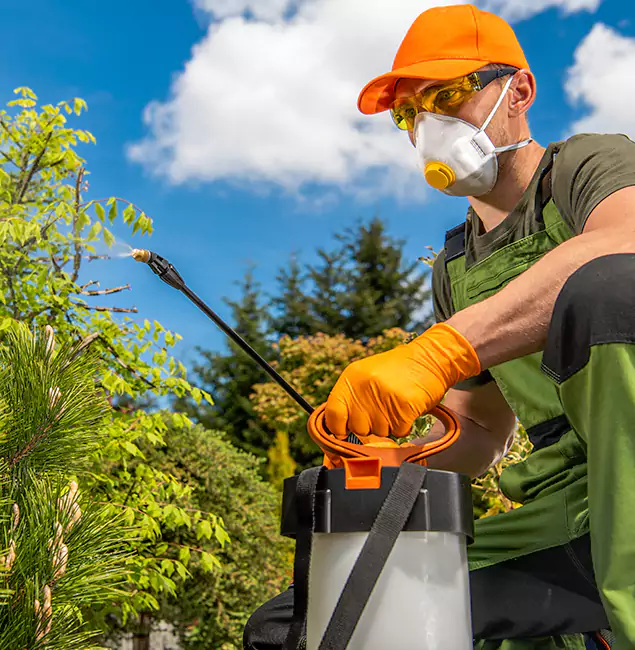 Why Choose McLean Pest Control Pro for Outdoor Pest Control in Mc Lean, VA?