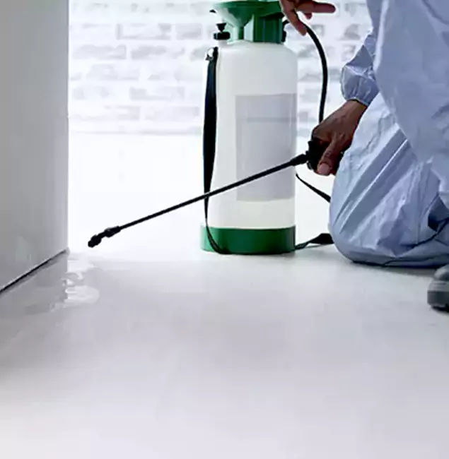 Why Choose McLean Pest Control Pro for Rat Exterminator in Mc Lean, VA?
