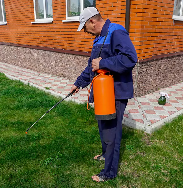 Why Choose McLean Pest Control Pro for Residential Pest Control in Mc Lean, VA?