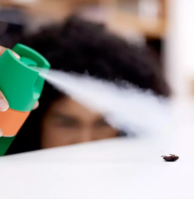 Why Mc Lean, VA Homeowners Choose McLean Pest Control Pro for Roach Pest Control?