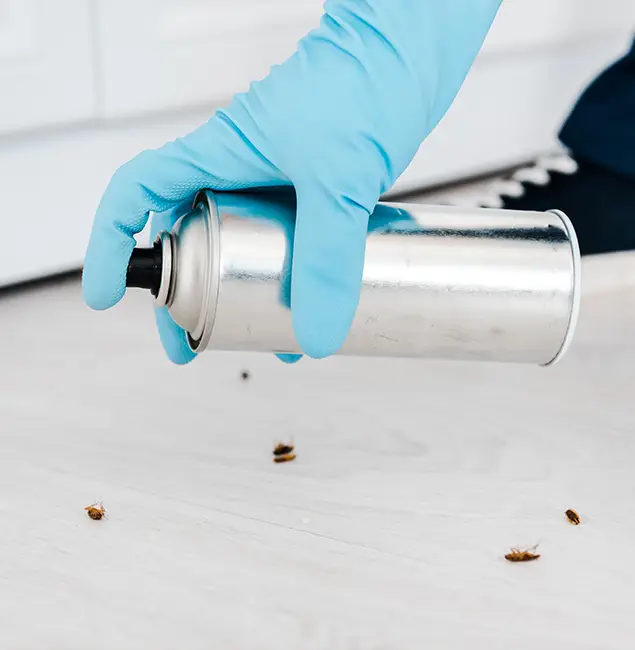 Why Choose McLean Pest Control Pro for Safe Bed Bug Treatment in Mc Lean, VA?