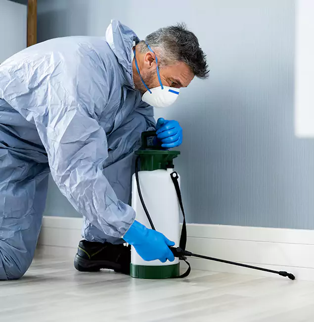 Why Choose McLean Pest Control Pro for Subterranean Termites Treatment in Mc Lean, VA?