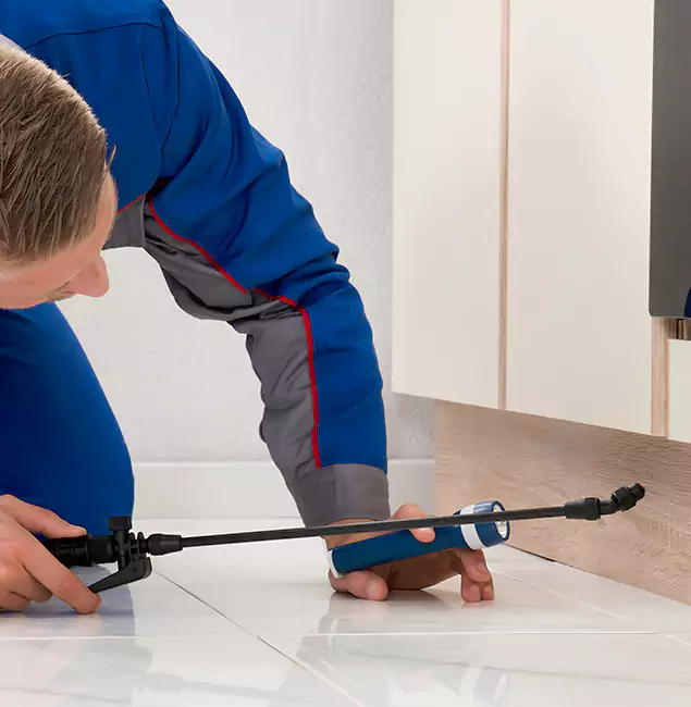 Why Mc Lean Residents Choose McLean Pest Control Pro to Get Rid of Sugar Ants?