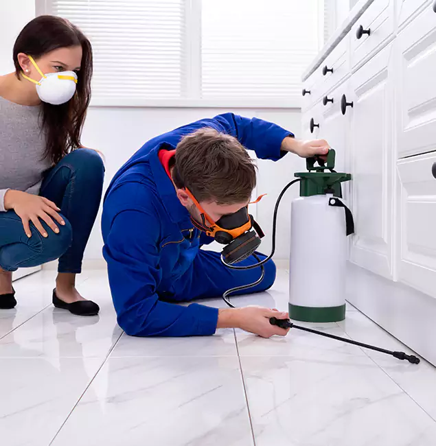 Why Choose Wood Termite Treatment by McLean Pest Control Pro in Mc Lean, VA?