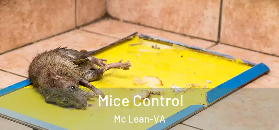  Mice Control Mc Lean-VA