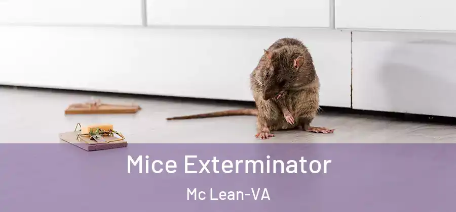 Mice Exterminator Mc Lean-VA