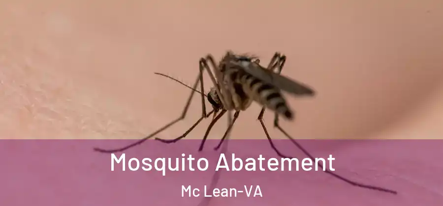 Mosquito Abatement Mc Lean-VA