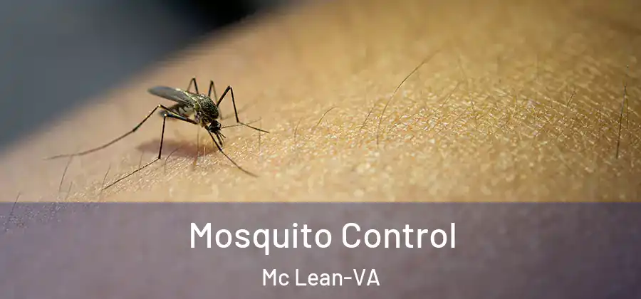 Mosquito Control Mc Lean-VA