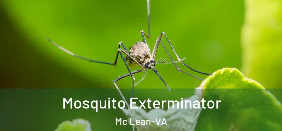 Mosquito Exterminator Mc Lean-VA