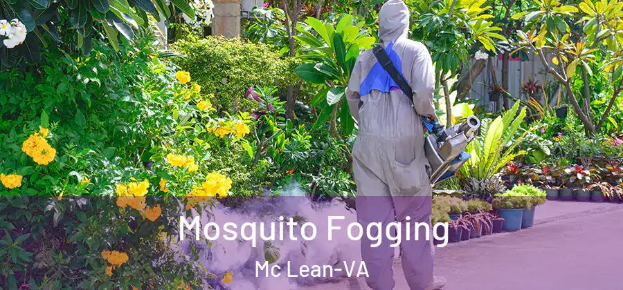  Mosquito Fogging Mc Lean-VA