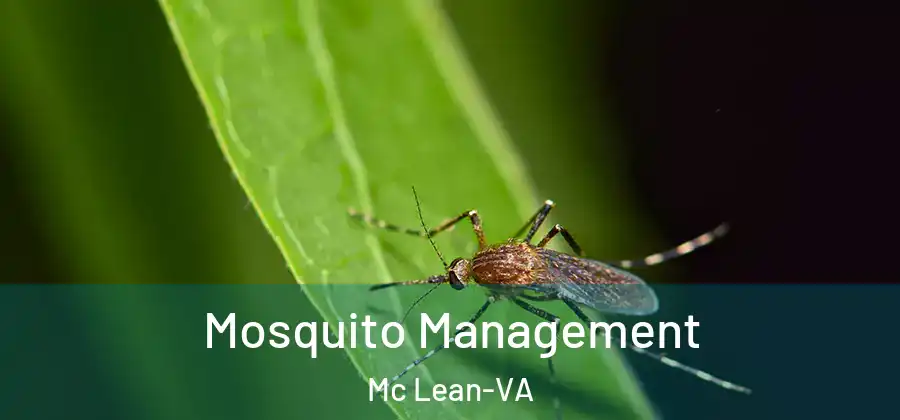 Mosquito Management Mc Lean-VA