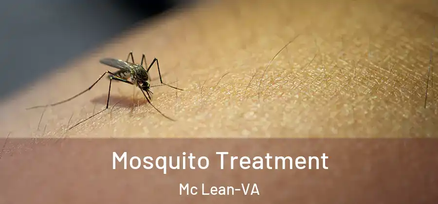 Mosquito Treatment Mc Lean-VA