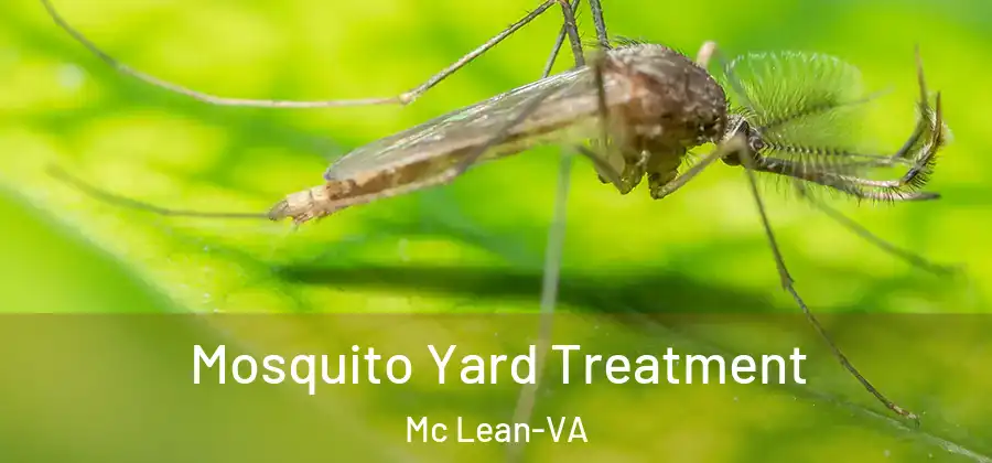 Mosquito Yard Treatment Mc Lean-VA