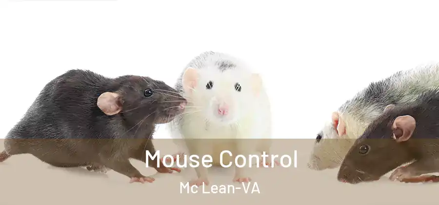 Mouse Control Mc Lean-VA