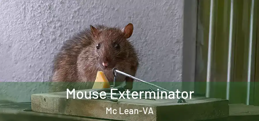 Mouse Exterminator Mc Lean-VA